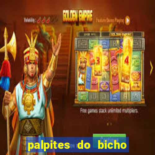 palpites do bicho no celular