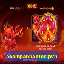 acompanhantes pvh