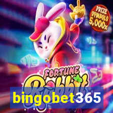 bingobet365