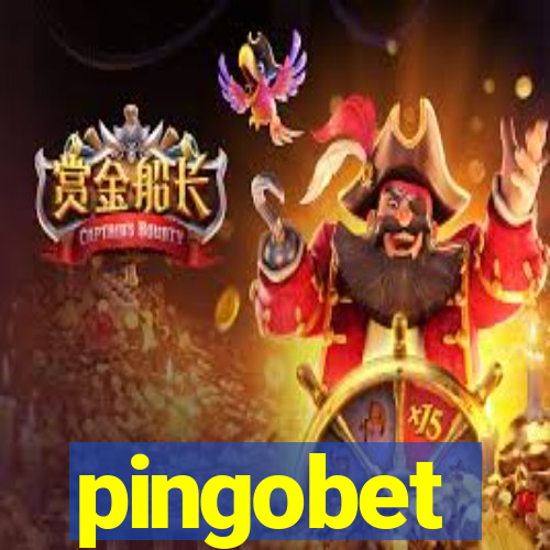 pingobet