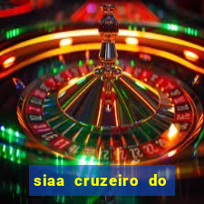 siaa cruzeiro do sul aluno