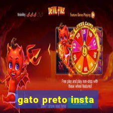 gato preto insta