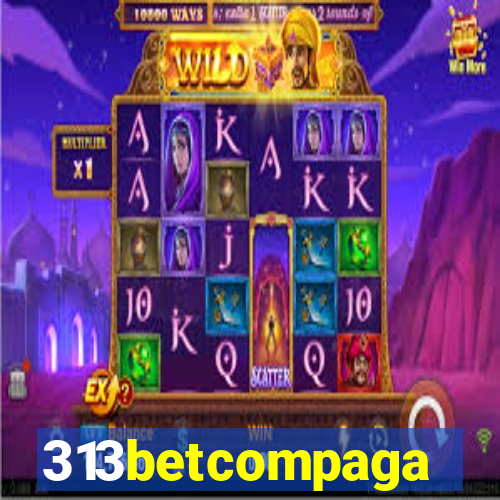 313betcompaga