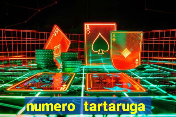 numero tartaruga jogo do bicho