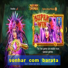 sonhar com barata jogo do bicho