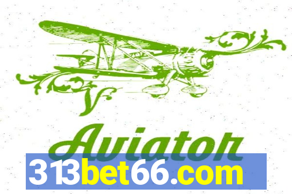 313bet66.com