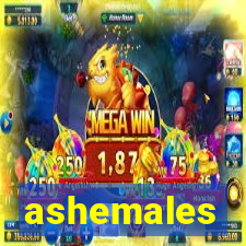 ashemales