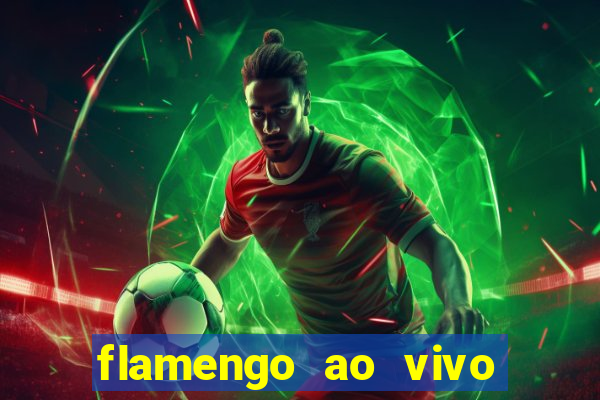 flamengo ao vivo multi tv