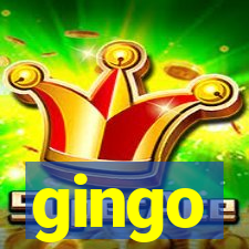 gingo